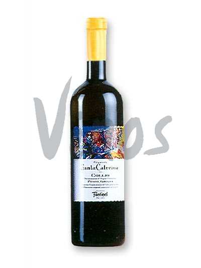  Pinot Grigio "Santa Caterina" Collio DOC - 